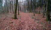 Tour Wandern Roche-lez-Beaupré - Roches-lez-beauprés - Photo 4