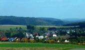 Tour Zu Fuß Feilbingert - Panoramaweg Feilbingert - Photo 2