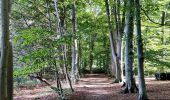 Tour Wandern Spa - La promenade des artistes (7,6km)   - Photo 13