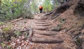 Tour Wandern Aydat - Les trois puys - Photo 9