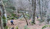 Trail Walking Luzenac - cabane  coumels - Photo 3