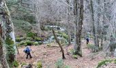 Randonnée Marche Luzenac - cabane  coumels - Photo 3