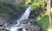 Trail Walking Vallouise-Pelvoux - 20250701 Vallouise Cascade de la Pissette - Photo 1