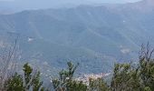 Excursión Senderismo Val-d'Aigoual - Cascade d'Orgon depuis Cap de Côte - vue Mont Aigoual - Photo 18