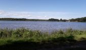 Percorso Marcia Priziac - Priziac: autour du lac du Bel Air - Avec variante  - Photo 2