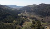 Excursión Senderismo Celles-sur-Plaine - circuit du col coquin  - Photo 11