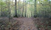 Trail Walking Orival - 20221117-Les Essarts  - Photo 13