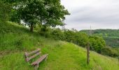 Percorso A piedi Beverungen - Erlesene Natur - Wo der Bock zum Gärtner wird - Photo 9