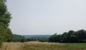 Tocht Stappen Luik - Terril de Vittel - Fond des Tawes - Photo 3