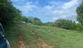 Trail Trail Sainte-Anne - Modette  - Photo 2