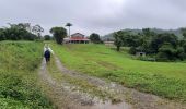 Trail Walking Le Lorrain - Rando Bananeraie La Rougerie - Photo 16