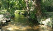 Tour Wandern Maintenon - Maintenon, boucle - Photo 1