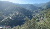 Tour Wandern Laroque-des-Albères - RP66 LAROQUE VALLÉE HEUREUSE SOREDE.  - Photo 3