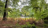 Tocht Stappen Orrouy - en Forêt de Compiègne_41_autour des Petits Monts - Photo 5