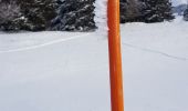 Randonnée Ski de fond Gex - Sonnaillyais - Photo 10