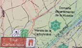 Excursión Bici eléctrica Aigues-Mortes - Aigues-mortes- canal+camargues - Photo 3