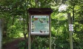 Trail Walking Gerpinnes - La balade du bois de Chamborgneau - Photo 3