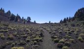 Tour Wandern El Paso - dag 3 La Palma  - Photo 5