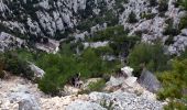 Tocht Stappen Cassis - Les 3 Calanques coté Est - Port Miou - En Vau - Port Pin - Photo 19