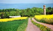 Tocht Te voet Merzig - Promenade Circulaire de Waldwisse - Photo 1