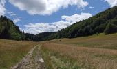 Randonnée Marche Billiat - etape 24 : ferme Retord - chalet d'arvières - Photo 3