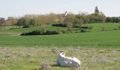 Excursión A pie Ligardes - Lamontjoie, un cheminement de Lot-et-Garonne en Gers 13.6 km - Photo 5