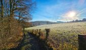 Randonnée Marche Gedinne - Balade à Patignies - Gedinne - Photo 8