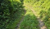 Excursión Senderismo Buno-Bonnevaux - Buno-Bonneveaux - Polissoir de Grimery - Photo 9