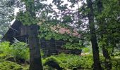 Tour Wandern Raon-sur-Plaine - suuntoapp-Hiking-2025-07-14T08-58-29Z - Photo 8