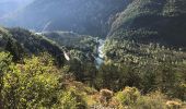 Randonnée Marche Castellane - Les Cadieres de Brandis - Photo 2