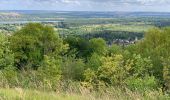 Tour Wandern Haute-Isle - cherence vetheuil  - Photo 1