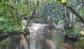 Excursión Senderismo Chimay - Bois de Baileux et l'Eau noire - Photo 7