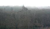 Tour Wandern La Roche-en-Ardenne - Nisramont-Tibewez-Barrage - Photo 1