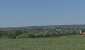 Excursión Senderismo Plombières - 20200528 - Montzen 6.5 Km - Photo 19