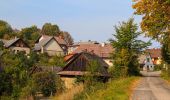 Randonnée A pied Cotkytle - [Ž] Lanšperk-Mariánská hora - Photo 3