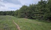 Trail Walking Caussols - De Caussols vers le sommet et le plateau de Calern - Photo 12