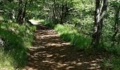 Tocht Stappen Murol - AUTOUR DU LAC CHAMBON  - Photo 13