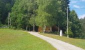 Tocht Stappen Logatec - Rovte, Rovte, Slovenija - Photo 8