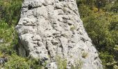 Randonnée Marche La Roquebrussanne - La Roque La loube Col de la barraque les orris - Photo 16