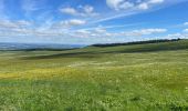 Tocht Stappen Murat-le-Quaire - Borne des roches-Guéry - Photo 13