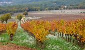 Tour Wandern Les Arcs-sur-Argens - Chemin de Compostelle de Abbaye Celle Roubaud à Lorgues par Ermitage St Ferréol - Photo 11