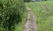 Trail Walking Herve - 20240606 - IPA Verviers- Reconnaissance balade - Photo 12