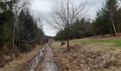 Trail Walking Sprimont - banneux . rougethier . nanneaux - Photo 7