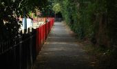 Randonnée A pied Elmbridge - Locks and Levels (SCC) - Photo 5