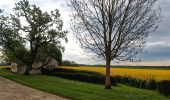 Tocht Stappen Chamarande - Boucle autour de Chamarante - Reco Didier  - Photo 10