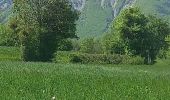 Trail Walking Chichilianne - Le Platary - Trieves  - Photo 1
