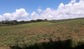 Excursión Senderismo Le Lorrain -  la crabière en boucle  - Photo 4