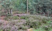 Percorso  Kalmthout - Verkorte reewandeling - Photo 3