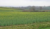 Percorso A piedi Somerset West and Taunton - Taunton Deane Circular Walk 1 - Photo 5