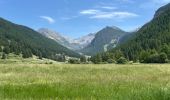 Trail Walking Ceillac - La cascade - Ceillac A/R - Photo 15